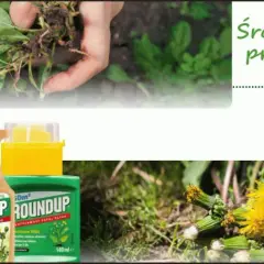 Agro-Chwast - bezpieczne nawozy i środki ochrony roślin dla Ciebie