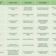 Tabela z terminami oprysków miedzianem na choroby drzew owocowych: jabłoni, gruszy, czereśni, wiśni, brzoskwini, winorośli, porzeczki czarnej i borówki amerykańskiej.