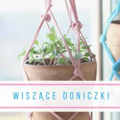 Jak zrobić wiszącą doniczkę - proste sposoby i materiały, które zaskoczą