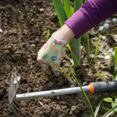 Ręka w rękawiczce z motywem kwiatowym, przypominającym **calipso**, pieli grządki. Obok leży motyczka.