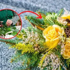 Jak zrobić stroik na cmentarz w doniczce: przycinanie zieleni i tworzenie kompozycji z żółtych róż, szyszek i gałązek.