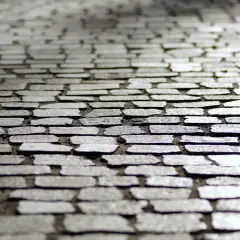 Szara kostka brukowa po impregnacji, lśniąca w świetle.