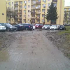 Czy można parkować na trawniku? Przepisy, kary i praktyczne porady