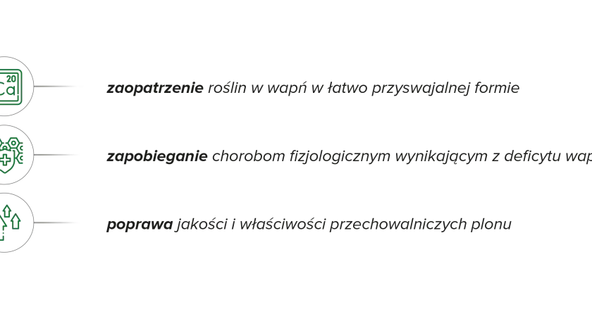 Wapnovit Turbo dawkowanie: zapewnia roślinom łatwo przyswajalny wapń, zapobiega chorobom i poprawia jakość plonu.