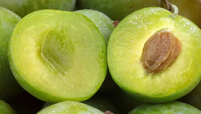 Zielone renklody, jedna przekrojona na pół, ukazująca pestkę, pokryte kroplami wody.