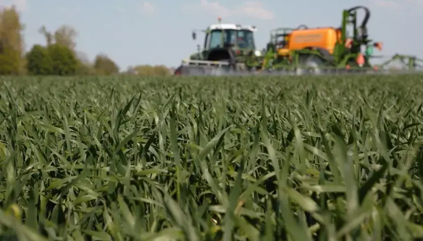 Najlepsze odpowiedzi na chwast w zbożu w krzyżówkach - sprawdź teraz