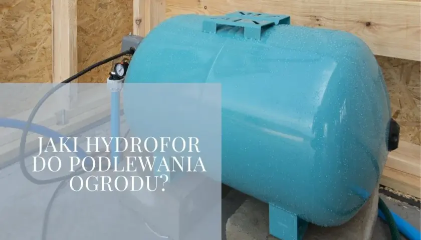 Jak wybrać idealny hydrofor do podlewania ogrodu? Porady i porównania