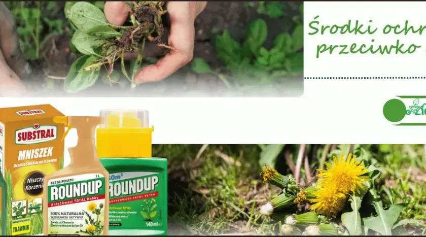 Agro-Chwast - bezpieczne nawozy i środki ochrony roślin dla Ciebie