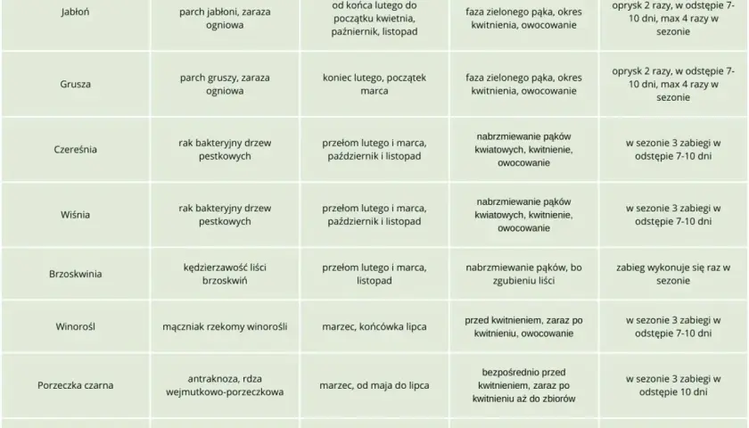 Tabela z terminami oprysków miedzianem na choroby drzew owocowych: jabłoni, gruszy, czereśni, wiśni, brzoskwini, winorośli, porzeczki czarnej i borówki amerykańskiej.