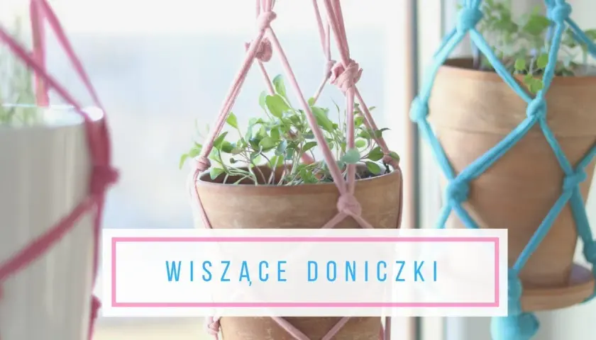 Jak zrobić wiszącą doniczkę - proste sposoby i materiały, które zaskoczą