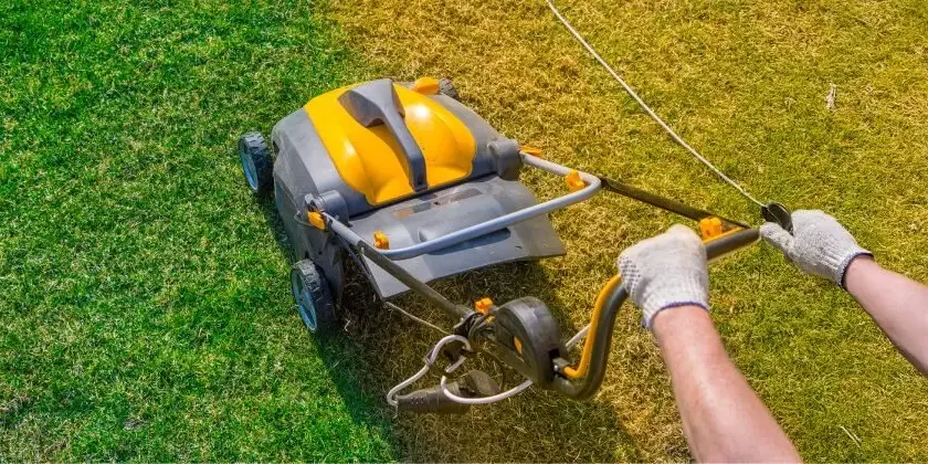 Kiedy wykonywać wertykulację trawnika, aby uniknąć zniszczeń i cieszyć się pięknym trawnikiem