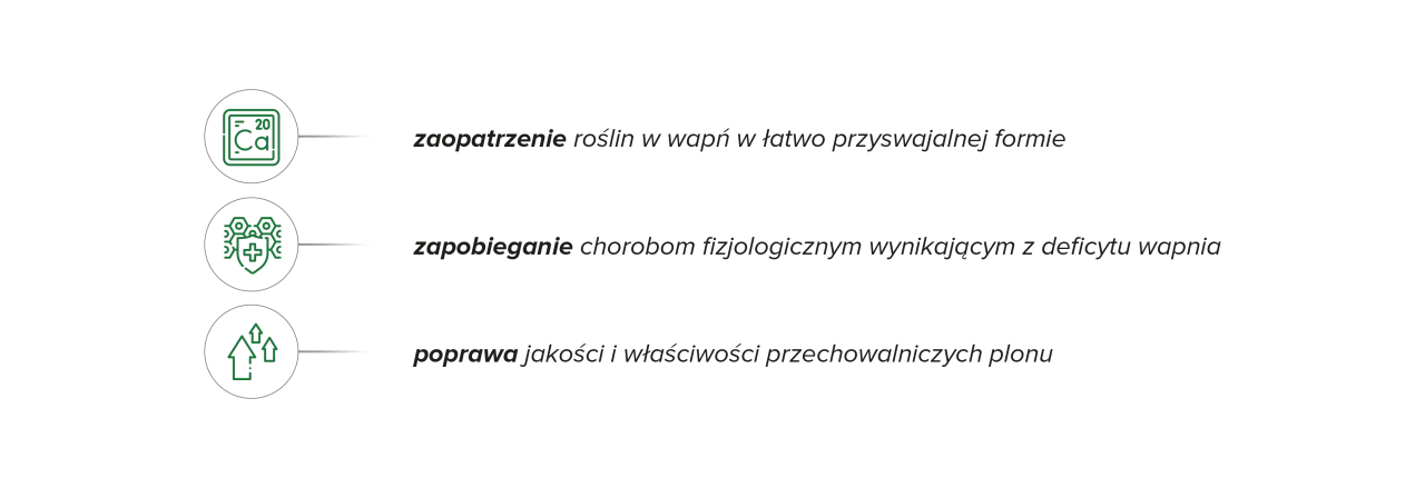 Wapnovit Turbo dawkowanie: zapewnia roślinom łatwo przyswajalny wapń, zapobiega chorobom i poprawia jakość plonu.