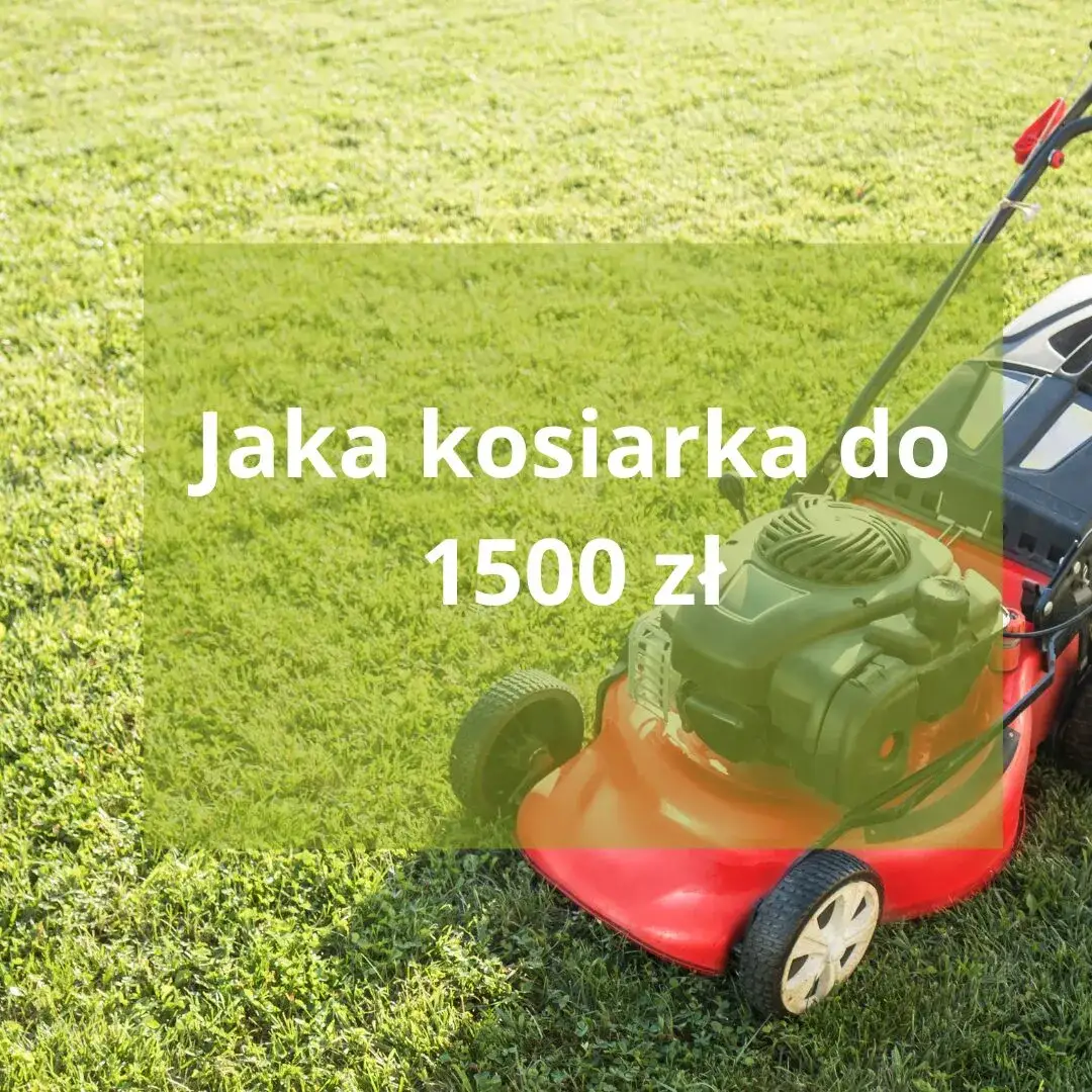 Zdjęcie Najlepsze kosiarki spalinowe - porównanie modeli i opinie użytkowników